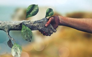 Green-Economy-Hand-Shake Green Economy Hand Shake1