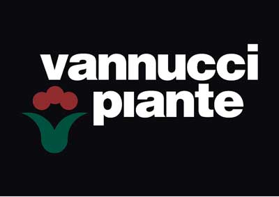 Vannucci Piante yrlr85BwgH