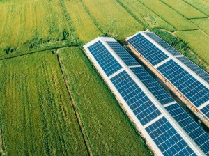 decreto aree idonee rinnovabili