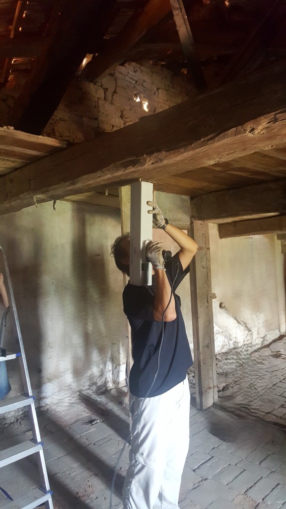Anche gli alberi (come gli edifici) necessitano di controlli e verifiche statiche grazzini 20180726 150013