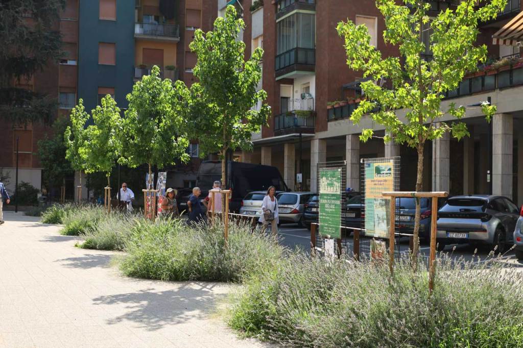 Casalecchio di Reno: infrastrutture verdi e percorsi drenanti per la rigenerazione del quartiere Croce Casalecchio di Reno 2Massimo Gennari