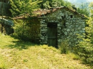 Fabbricati rurali in catasto entro novembre 2012